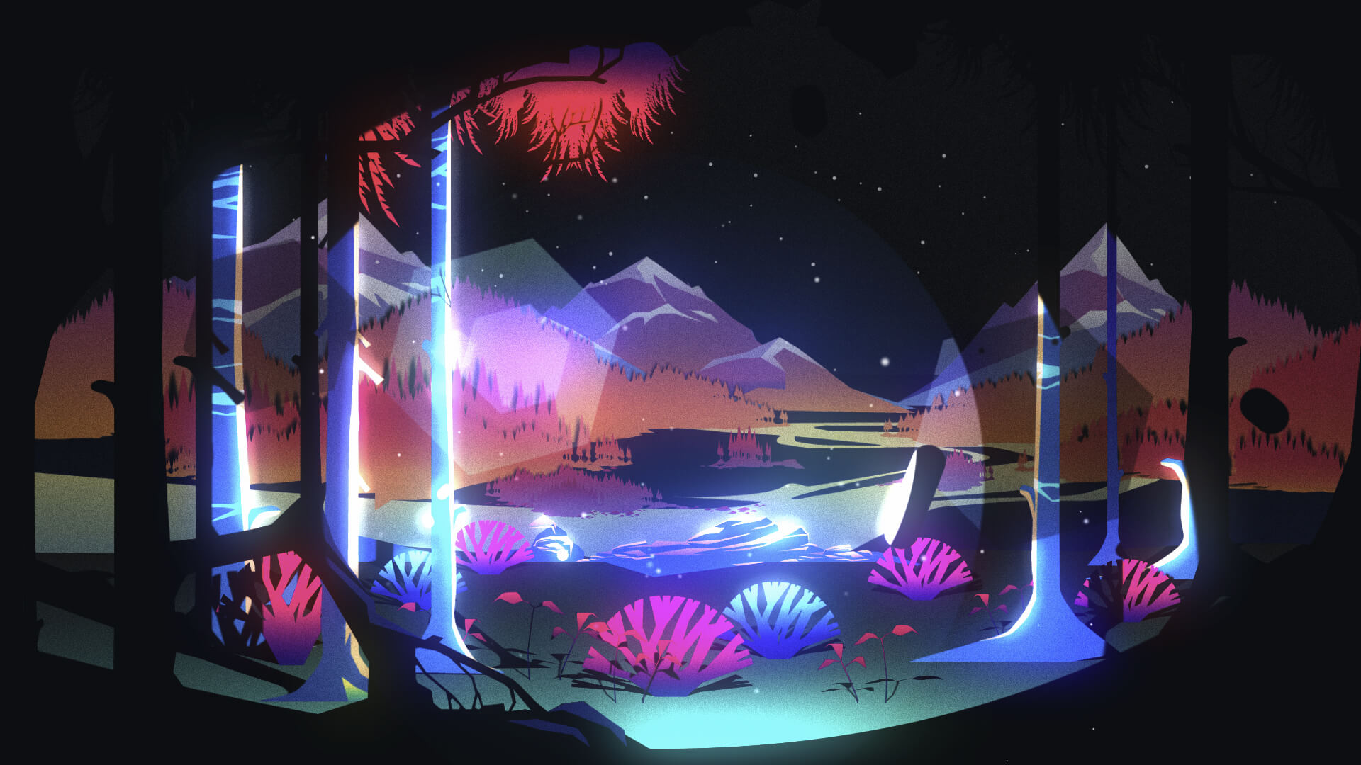 Knog_02_new