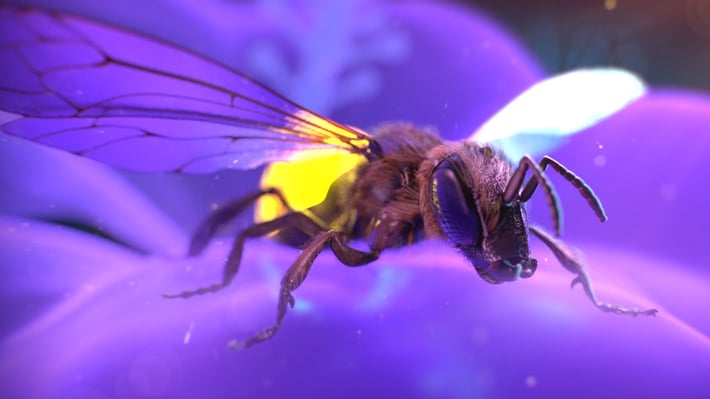 netcomm2_thumbnail
