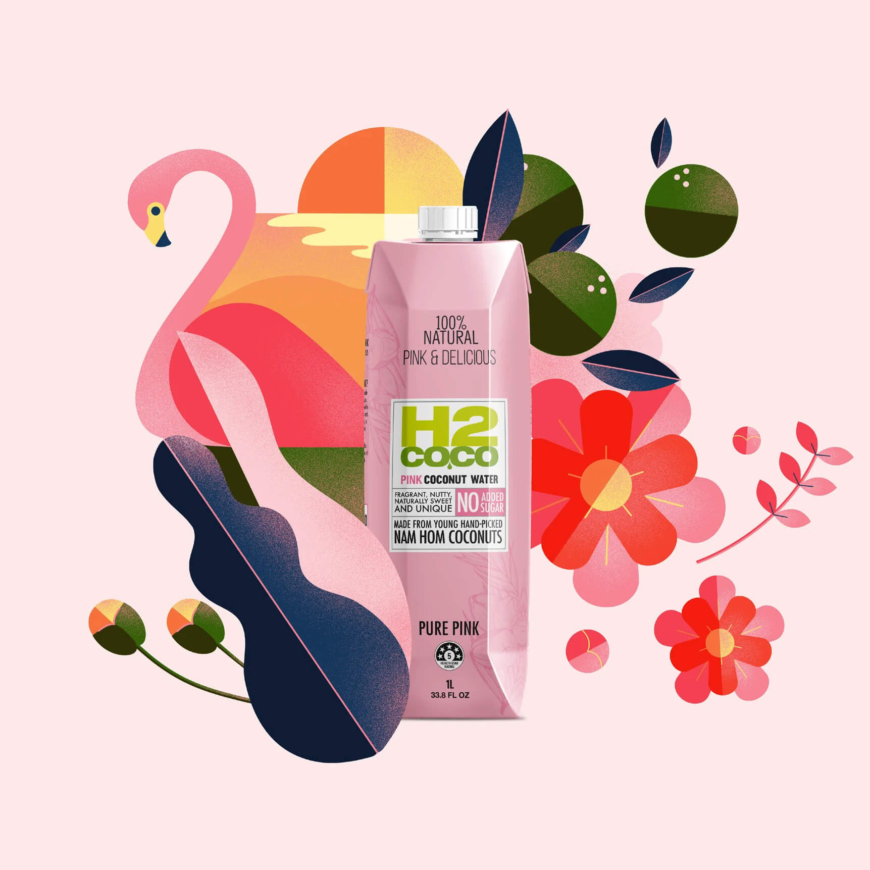h2coco-new