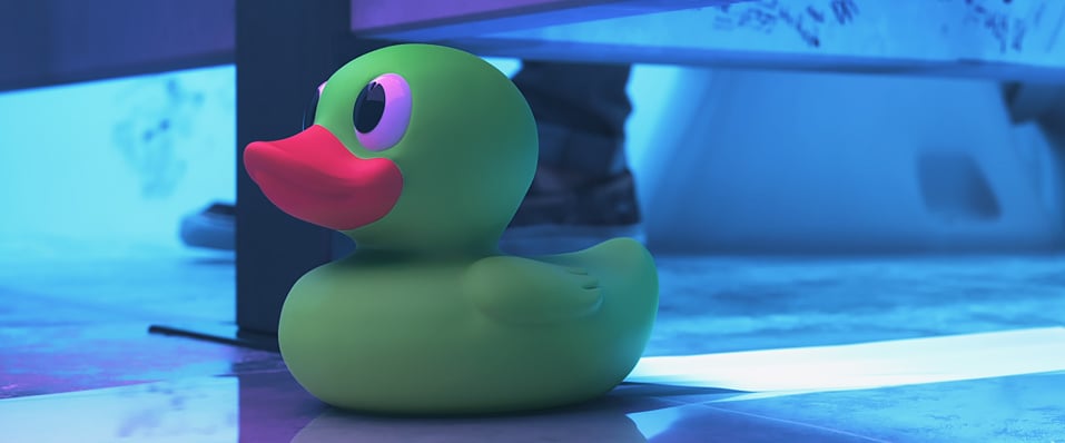 sony-duck-half-2
